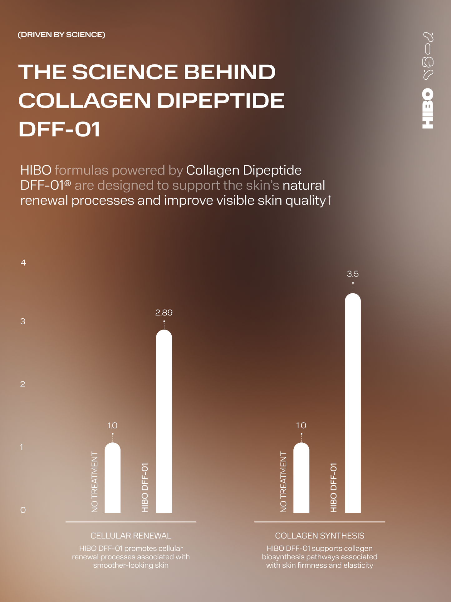 DIPEPTIDE COLLAGEN INSTANT HYDRATION LOTION